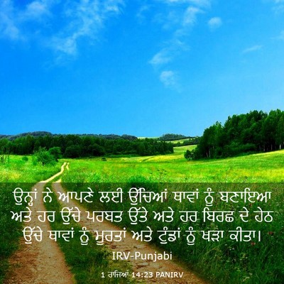 Picture 03 - 1 ਰਾਜਿਆਂ 14:23 PANIRV - ਉਨ੍ਹਾਂ ਨੇ ਆਪਣੇ ਲਈ - Bible Verse Picture