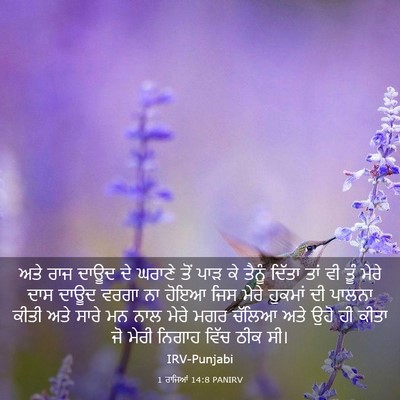 Picture 03 - 1 ਰਾਜਿਆਂ 14:8 PANIRV - ਅਤੇ ਰਾਜ ਦਾਊਦ ਦੇ - Bible Verse Picture