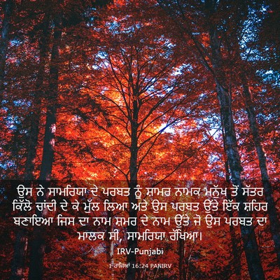 Picture 03 - 1 ਰਾਜਿਆਂ 16:24 PANIRV - ਉਸ ਨੇ ਸਾਮਰਿਯਾ ਦੇ - Bible Verse Picture