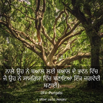 Picture 03 - 1 ਰਾਜਿਆਂ 16:32 PANIRV - ਨਾਲੇ ਉਹ ਨੇ ਬਆਲ ਲਈ - Bible Verse Picture