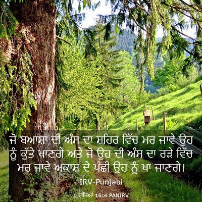 Picture 03 - 1 ਰਾਜਿਆਂ 16:4 PANIRV - ਜੋ ਬਆਸ਼ਾ ਦੀ ਅੰਸ ਦਾ - Bible Verse Picture