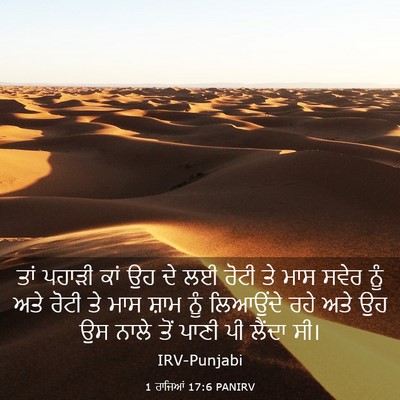 Picture 03 - 1 ਰਾਜਿਆਂ 17:6 PANIRV - ਤਾਂ ਪਹਾੜੀ ਕਾਂ ਉਹ ਦੇ - Bible Verse Picture