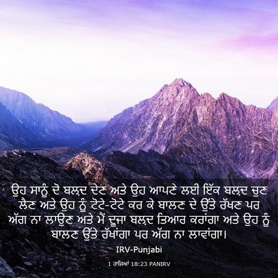 Picture 03 - 1 ਰਾਜਿਆਂ 18:23 PANIRV - ਉਹ ਸਾਨੂੰ ਦੋ ਬਲ਼ਦ - Bible Verse Picture
