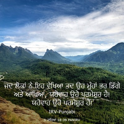 Picture 03 - 1 ਰਾਜਿਆਂ 18:39 PANIRV - ਜਦ ਲੋਕਾਂ ਨੇ ਇਹ - Bible Verse Picture