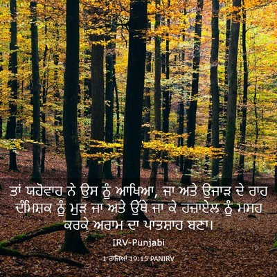 Picture 03 - 1 ਰਾਜਿਆਂ 19:15 PANIRV - ਤਾਂ ਯਹੋਵਾਹ ਨੇ ਉਸ - Bible Verse Picture