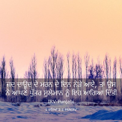 Picture 03 - 1 ਰਾਜਿਆਂ 2:1 PANIRV - ਜਦ ਦਾਊਦ ਦੇ ਮਰਨ ਦੇ - Bible Verse Picture