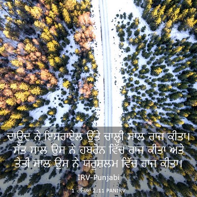 Picture 03 - 1 ਰਾਜਿਆਂ 2:11 PANIRV - ਦਾਊਦ ਨੇ ਇਸਰਾਏਲ - Bible Verse Picture