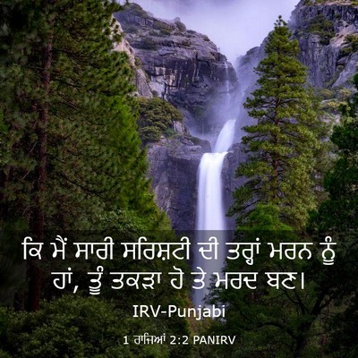 Picture 03 - 1 ਰਾਜਿਆਂ 2:2 PANIRV - ਕਿ ਮੈਂ ਸਾਰੀ - Bible Verse Picture