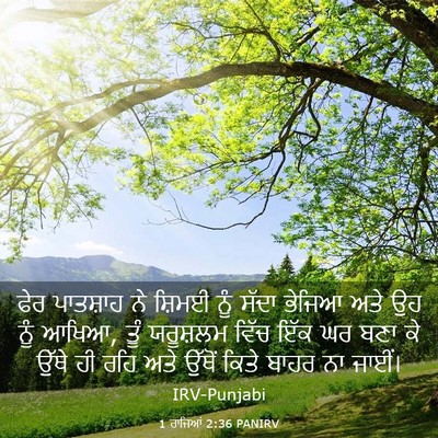 Picture 03 - 1 ਰਾਜਿਆਂ 2:36 PANIRV - ਫੇਰ ਪਾਤਸ਼ਾਹ ਨੇ - Bible Verse Picture