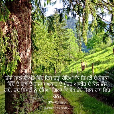 Picture 03 - 1 ਰਾਜਿਆਂ 2:39 PANIRV - ਤੀਜੇ ਸਾਲ ਦੇ ਅੰਤ - Bible Verse Picture