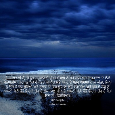 Picture 03 - 1 ਰਾਜਿਆਂ 2:5 PANIRV - ਤੂੰ ਜਾਣਦਾ ਵੀ ਹੈਂ, - Bible Verse Picture
