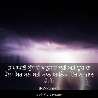 Picture 03 - 1 ਰਾਜਿਆਂ 2:6 PANIRV - ਤੂੰ ਆਪਣੀ ਬੁੱਧ ਦੇ - Bible Verse Picture