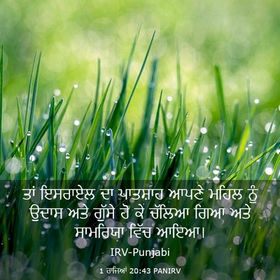 Picture 03 - 1 ਰਾਜਿਆਂ 20:43 PANIRV - ਤਾਂ ਇਸਰਾਏਲ ਦਾ - Bible Verse Picture