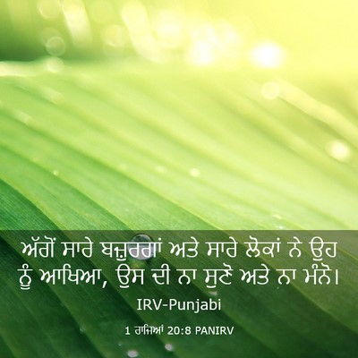 Picture 03 - 1 ਰਾਜਿਆਂ 20:8 PANIRV - ਅੱਗੋਂ ਸਾਰੇ - Bible Verse Picture
