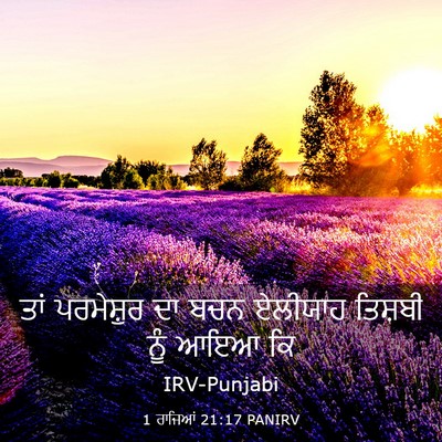 Picture 03 - 1 ਰਾਜਿਆਂ 21:17 PANIRV - ਤਾਂ ਪਰਮੇਸ਼ੁਰ ਦਾ - Bible Verse Picture