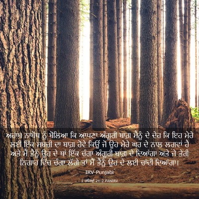 Picture 03 - 1 ਰਾਜਿਆਂ 21:2 PANIRV - ਅਹਾਬ ਨਾਬੋਥ ਨੂੰ - Bible Verse Picture