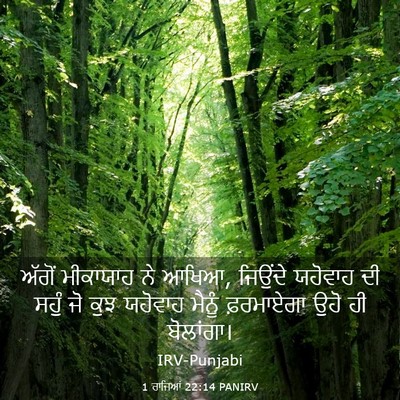 Picture 03 - 1 ਰਾਜਿਆਂ 22:14 PANIRV - ਅੱਗੋਂ ਮੀਕਾਯਾਹ ਨੇ - Bible Verse Picture