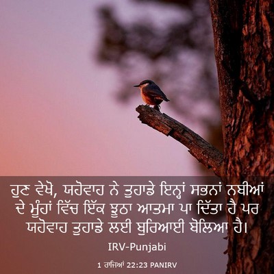 Picture 03 - 1 ਰਾਜਿਆਂ 22:23 PANIRV - ਹੁਣ ਵੇਖੋ, ਯਹੋਵਾਹ ਨੇ - Bible Verse Picture