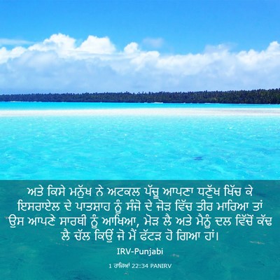 Picture 03 - 1 ਰਾਜਿਆਂ 22:34 PANIRV - ਅਤੇ ਕਿਸੇ ਮਨੁੱਖ ਨੇ - Bible Verse Picture