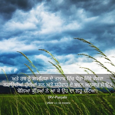 Picture 03 - 1 ਰਾਜਿਆਂ 22:38 PANIRV - ਅਤੇ ਰਥ ਨੂੰ ਸਾਮਰਿਯਾ - Bible Verse Picture