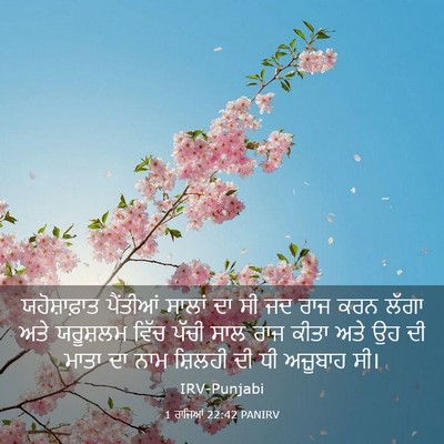 Picture 03 - 1 ਰਾਜਿਆਂ 22:42 PANIRV - ਯਹੋਸ਼ਾਫ਼ਾਤ - Bible Verse Picture