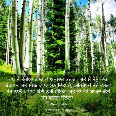 Picture 03 - 1 ਰਾਜਿਆਂ 3:12 PANIRV - ਵੇਖ ਮੈਂ ਤੇਰੀਆਂ - Bible Verse Picture