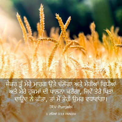 Picture 03 - 1 ਰਾਜਿਆਂ 3:14 PANIRV - ਜੇਕਰ ਤੂੰ ਮੇਰੇ ਮਾਰਗ - Bible Verse Picture