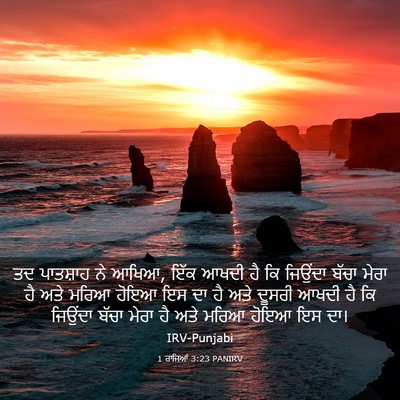 Picture 03 - 1 ਰਾਜਿਆਂ 3:23 PANIRV - ਤਦ ਪਾਤਸ਼ਾਹ ਨੇ ਆਖਿਆ, - Bible Verse Picture