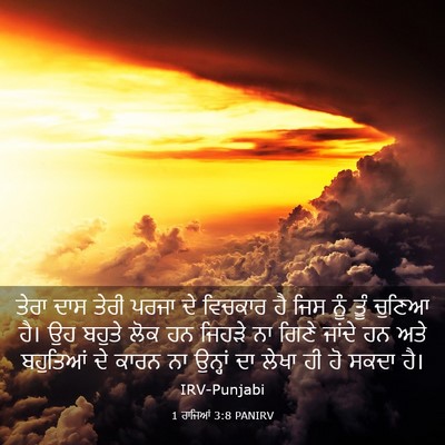 Picture 03 - 1 ਰਾਜਿਆਂ 3:8 PANIRV - ਤੇਰਾ ਦਾਸ ਤੇਰੀ ਪਰਜਾ - Bible Verse Picture