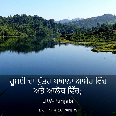 Picture 03 - 1 ਰਾਜਿਆਂ 4:16 PANIRV - ਹੂਸ਼ਈ ਦਾ ਪੁੱਤਰ - Bible Verse Picture