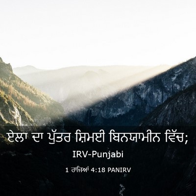 Picture 03 - 1 ਰਾਜਿਆਂ 4:18 PANIRV - ਏਲਾ ਦਾ ਪੁੱਤਰ ਸ਼ਿਮਈ - Bible Verse Picture