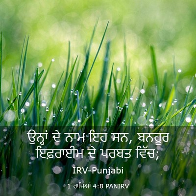 Picture 03 - 1 ਰਾਜਿਆਂ 4:8 PANIRV - ਉਨ੍ਹਾਂ ਦੇ ਨਾਮ ਇਹ - Bible Verse Picture