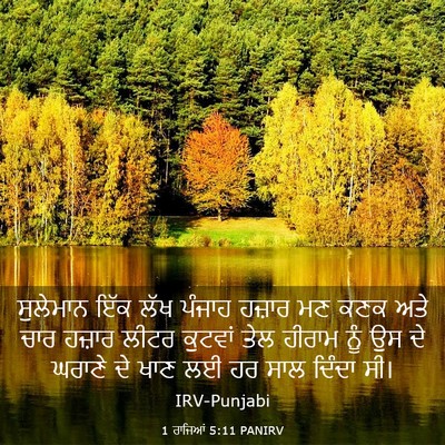 Picture 03 - 1 ਰਾਜਿਆਂ 5:11 PANIRV - ਸੁਲੇਮਾਨ ਇੱਕ ਲੱਖ - Bible Verse Picture