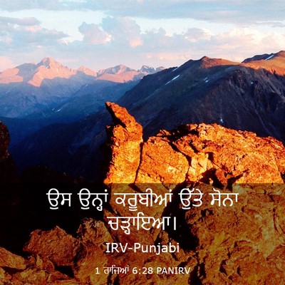 Picture 03 - 1 ਰਾਜਿਆਂ 6:28 PANIRV - ਉਸ ਉਨ੍ਹਾਂ ਕਰੂਬੀਆਂ - Bible Verse Picture