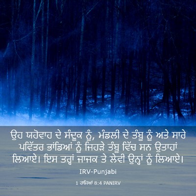 Picture 03 - 1 ਰਾਜਿਆਂ 8:4 PANIRV - ਉਹ ਯਹੋਵਾਹ ਦੇ ਸੰਦੂਕ - Bible Verse Picture