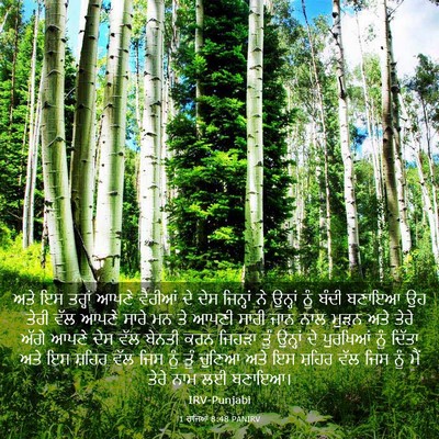 Picture 03 - 1 ਰਾਜਿਆਂ 8:48 PANIRV - ਅਤੇ ਇਸ ਤਰ੍ਹਾਂ ਆਪਣੇ - Bible Verse Picture