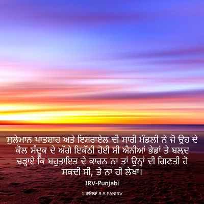 Picture 03 - 1 ਰਾਜਿਆਂ 8:5 PANIRV - ਸੁਲੇਮਾਨ ਪਾਤਸ਼ਾਹ - Bible Verse Picture