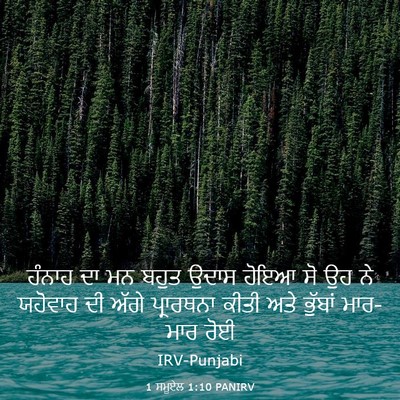 Picture 03 - 1 ਸਮੂਏਲ 1:10 PANIRV - ਹੰਨਾਹ ਦਾ ਮਨ ਬਹੁਤ - Bible Verse Picture