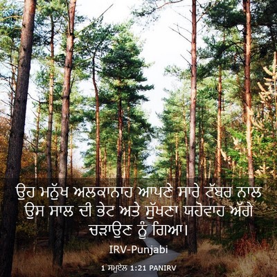 Picture 03 - 1 ਸਮੂਏਲ 1:21 PANIRV - ਉਹ ਮਨੁੱਖ ਅਲਕਾਨਾਹ - Bible Verse Picture