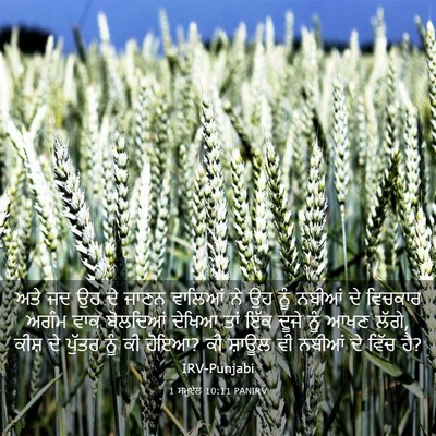 Picture 03 - 1 ਸਮੂਏਲ 10:11 PANIRV - ਅਤੇ ਜਦ ਉਹ ਦੇ ਜਾਣਨ - Bible Verse Picture