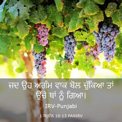 Picture 03 - 1 ਸਮੂਏਲ 10:13 PANIRV - ਜਦ ਉਹ ਅਗੰਮ ਵਾਕ ਬੋਲ - Bible Verse Picture