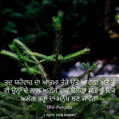 Picture 03 - 1 ਸਮੂਏਲ 10:6 PANIRV - ਤਦ ਯਹੋਵਾਹ ਦਾ ਆਤਮਾ - Bible Verse Picture