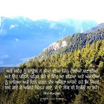 Picture 03 - 1 ਸਮੂਏਲ 11:11 PANIRV - ਅਤੇ ਸਵੇਰ ਨੂੰ ਸ਼ਾਊਲ - Bible Verse Picture
