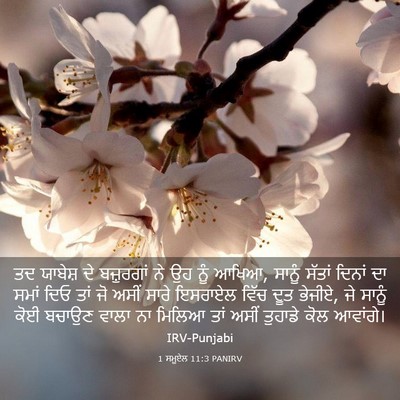 Picture 03 - 1 ਸਮੂਏਲ 11:3 PANIRV - ਤਦ ਯਾਬੇਸ਼ ਦੇ - Bible Verse Picture