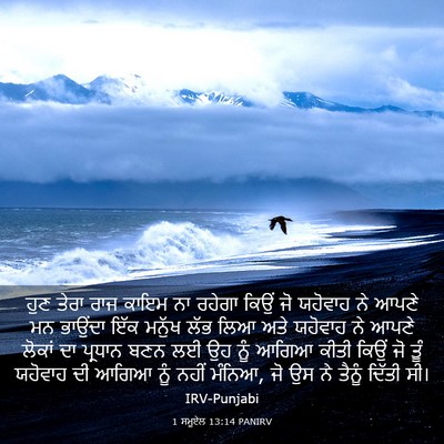 Picture 03 - 1 ਸਮੂਏਲ 13:14 PANIRV - ਹੁਣ ਤੇਰਾ ਰਾਜ ਕਾਇਮ - Bible Verse Picture