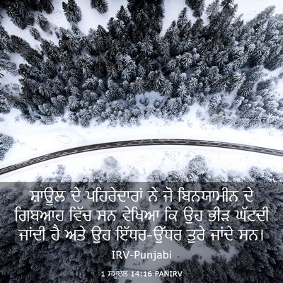 Picture 03 - 1 ਸਮੂਏਲ 14:16 PANIRV - ਸ਼ਾਊਲ ਦੇ - Bible Verse Picture
