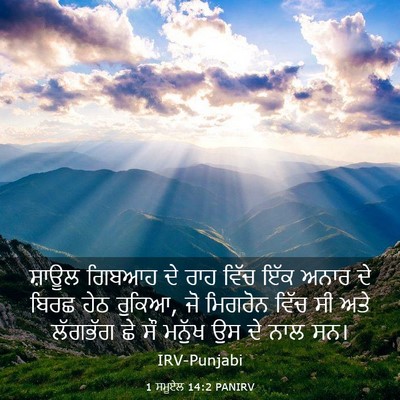 Picture 03 - 1 ਸਮੂਏਲ 14:2 PANIRV - ਸ਼ਾਊਲ ਗਿਬਆਹ ਦੇ ਰਾਹ - Bible Verse Picture