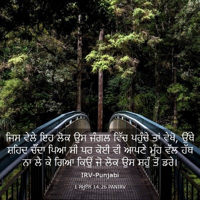 Picture 03 - 1 ਸਮੂਏਲ 14:26 PANIRV - ਜਿਸ ਵੇਲੇ ਇਹ ਲੋਕ ਉਸ - Bible Verse Picture