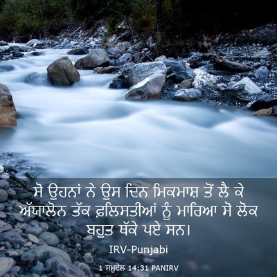Picture 03 - 1 ਸਮੂਏਲ 14:31 PANIRV - ਸੋ ਉਹਨਾਂ ਨੇ ਉਸ ਦਿਨ - Bible Verse Picture