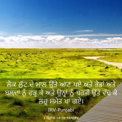 Picture 03 - 1 ਸਮੂਏਲ 14:32 PANIRV - ਲੋਕ ਲੁੱਟ ਦੇ ਮਾਲ - Bible Verse Picture